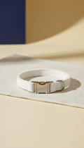 Leather Everyday Collar with Brass